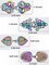4 PCS Vintage Sweater Swirl Clip Cape Cloak Clips Retro Cardigan Clip Shawl Collar Clasp Dress Shirt Brooch Clip for Girl Women (Colorful Color, Classic)